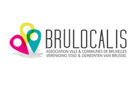 Brulocalis Lokale en participatieve democratie