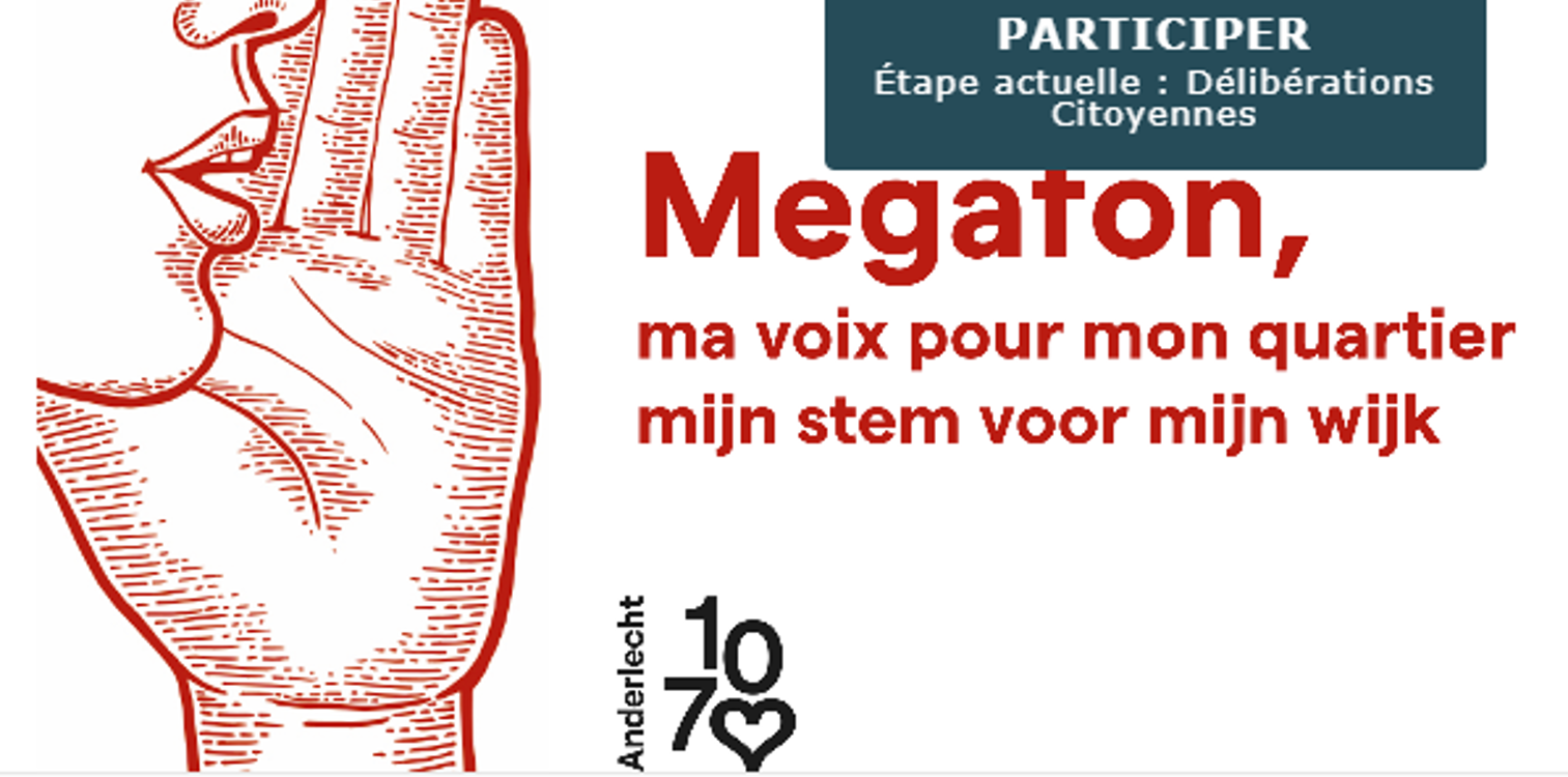 Megafon: Mijn stem voor mijn wijk': van raadpleging naar actieve participatie